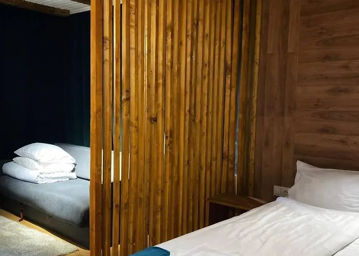 Mishelter * Мигово